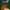 European Roulette Darkmode