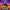 1001 Arabian Nights