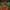 First Person Roulette