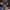 First Person Video Poker